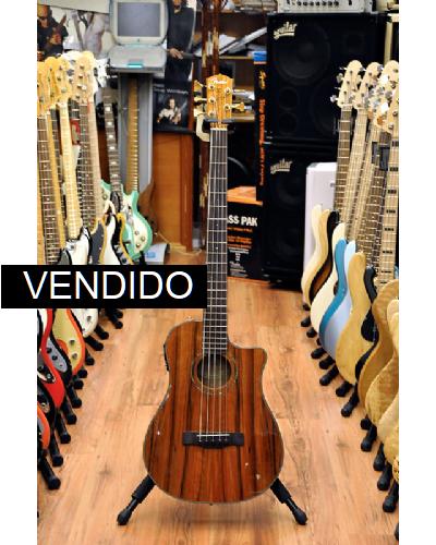 Fender Victor Bailey Acústico 5